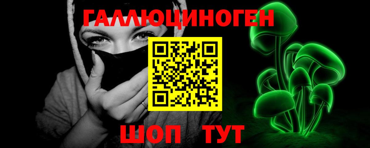 Галлюциногенные грибы Psilocybe Мценск