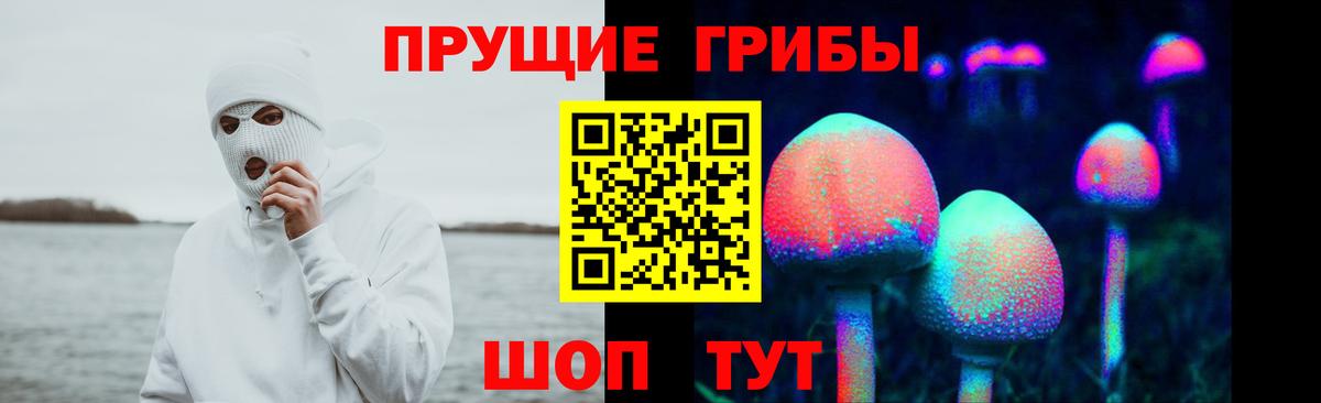 Мценск  Псилоцибиновые грибы MAGIC MUSHROOMS  Вход с VPN 